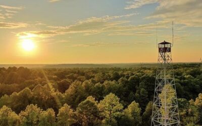 Love’s Lookout