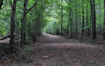 Neches River National Wildlife Refuge