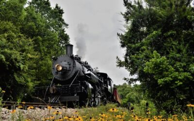 Texas State Railroad